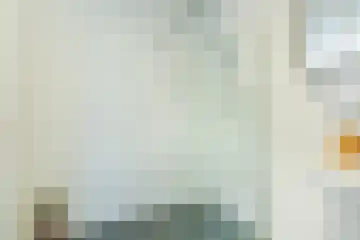 Zandgouw 2 B3 Teteringen thumbnail 16
