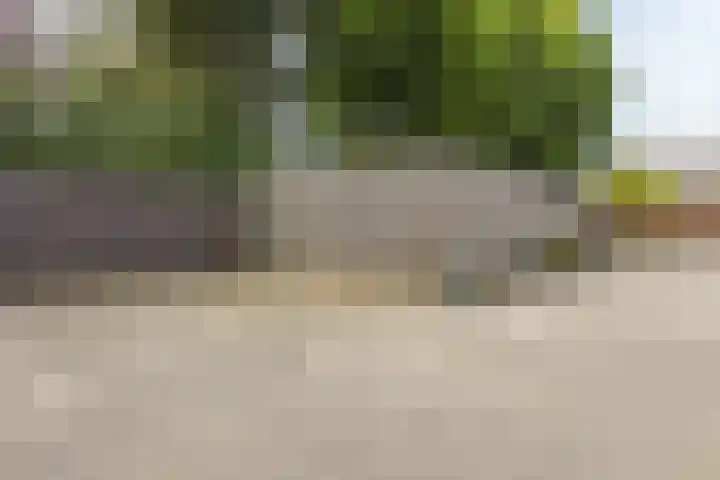 Zandgouw 2 B3 Teteringen thumbnail 24