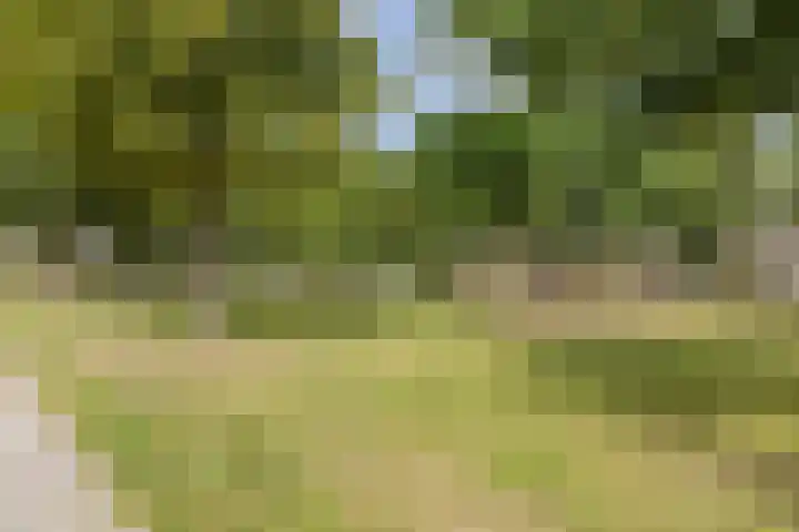 Zandgouw 2 B3 Teteringen thumbnail 27