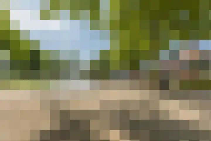 Zandgouw 2 B3 Teteringen thumbnail 28