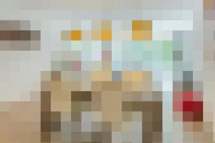 Zandgouw 2 B3 Teteringen thumbnail 8
