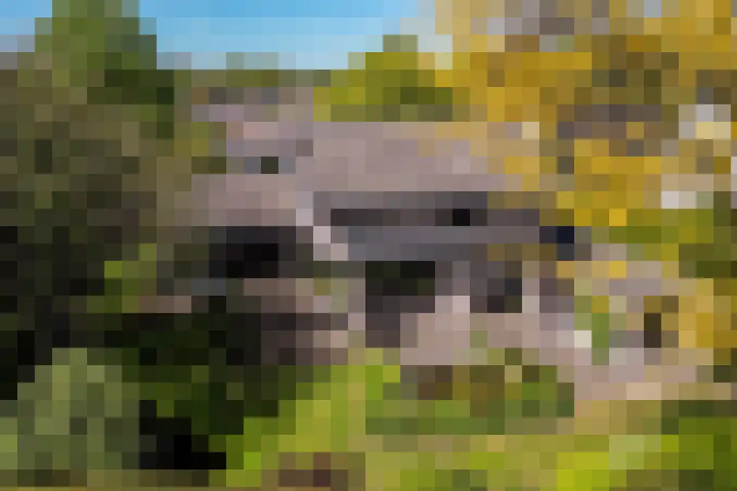 Zandgouw 26 Teteringen thumbnail 36