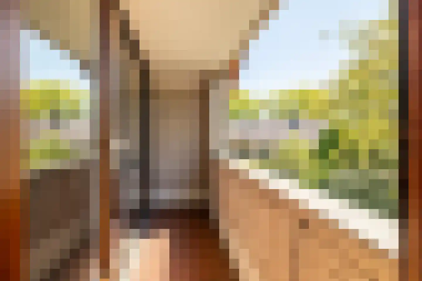 Zandgouw 26 Teteringen thumbnail 41