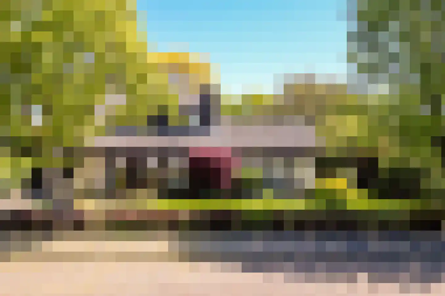 Zandgouw 26 Teteringen thumbnail 56
