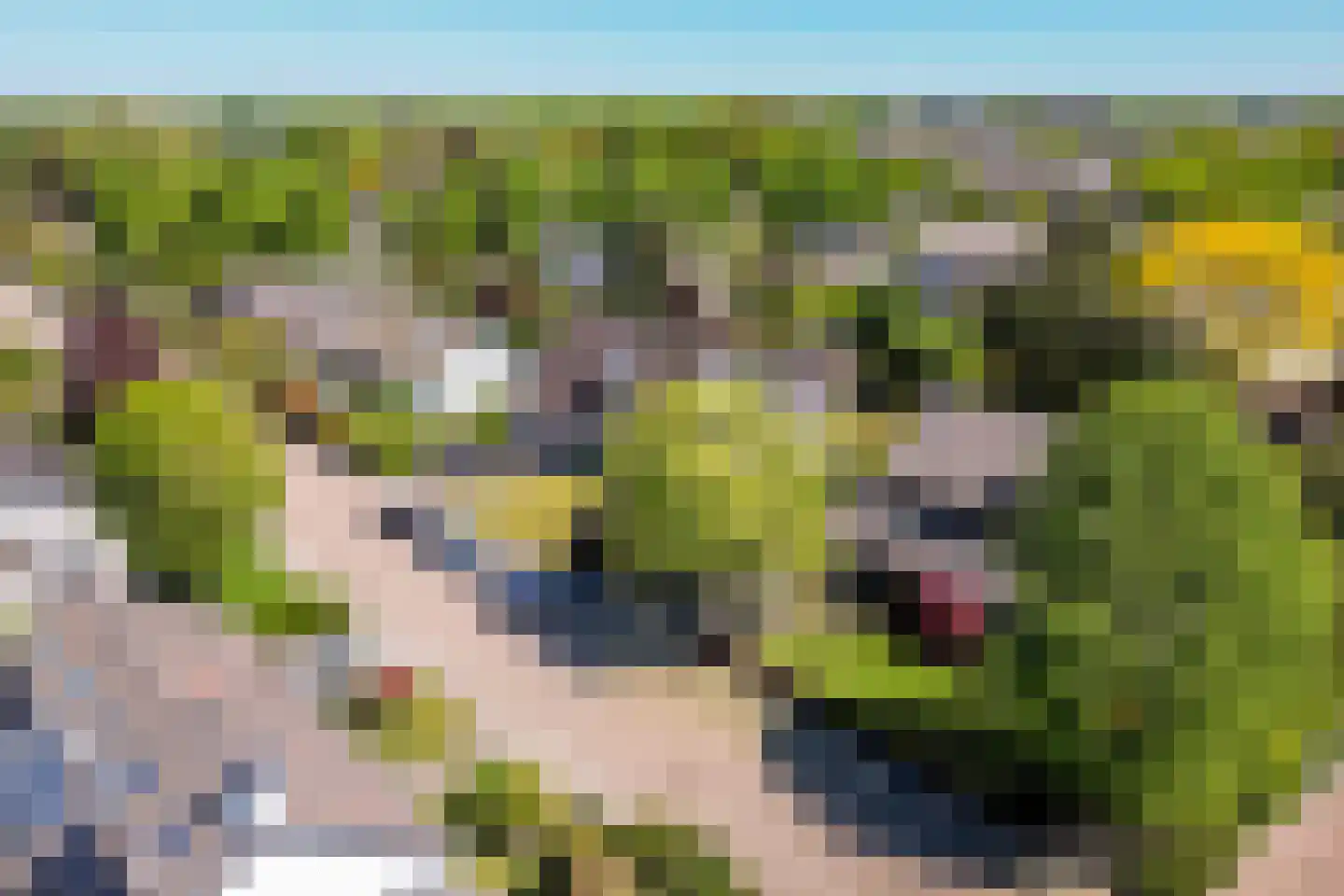 Zandgouw 26 Teteringen thumbnail 57