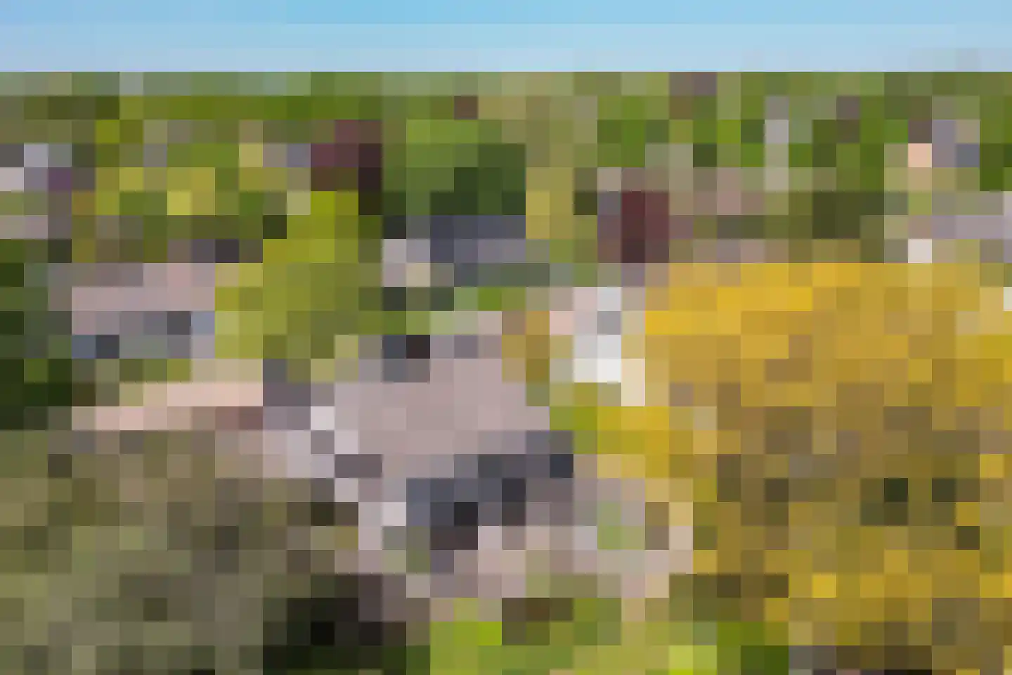 Zandgouw 26 Teteringen thumbnail 58