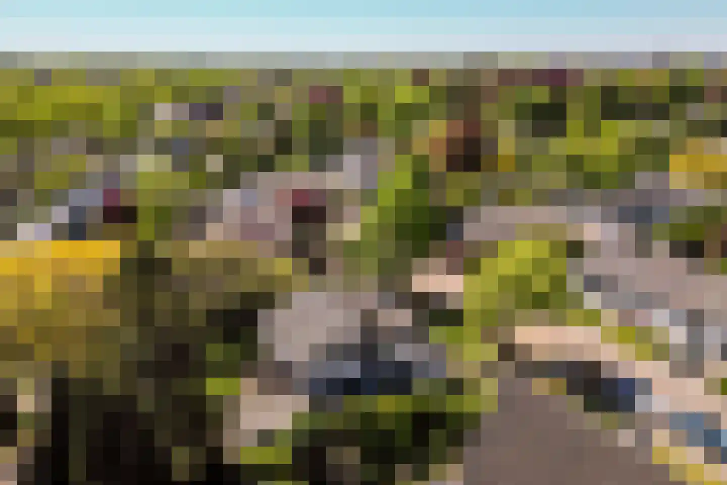 Zandgouw 26 Teteringen thumbnail 59