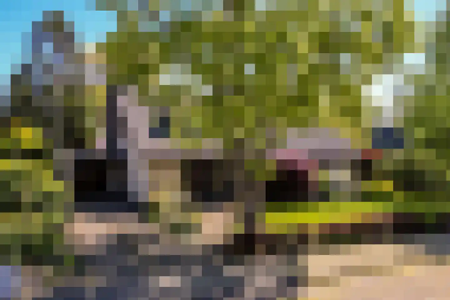 Zandgouw 26 Teteringen thumbnail 7