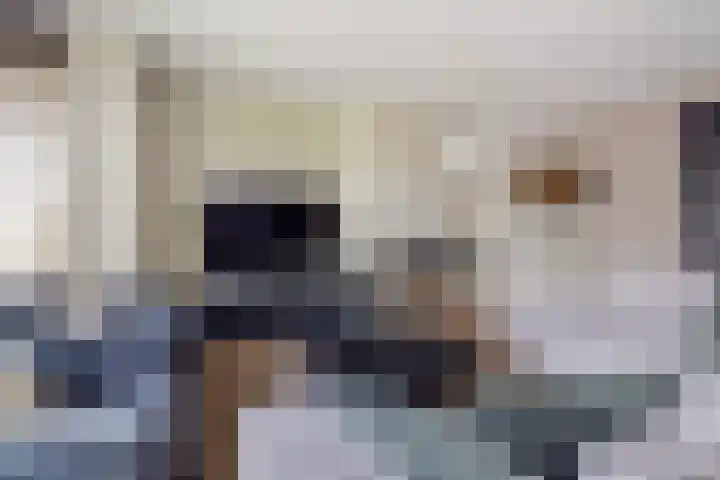 Zandhaai 1 A Eindhoven thumbnail 10