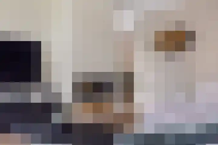 Zandhaai 1 A Eindhoven thumbnail 11