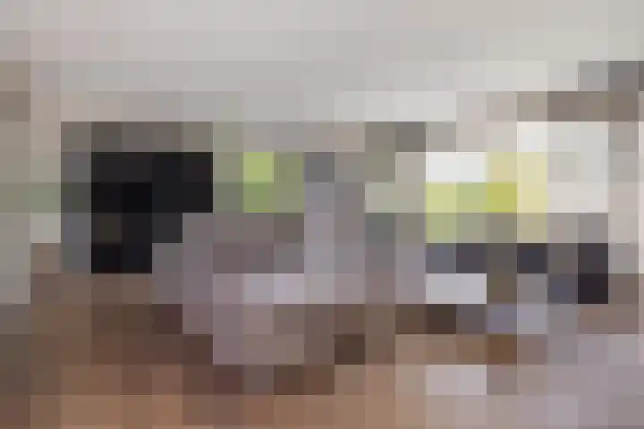 Zandhaai 1 A Eindhoven thumbnail 12