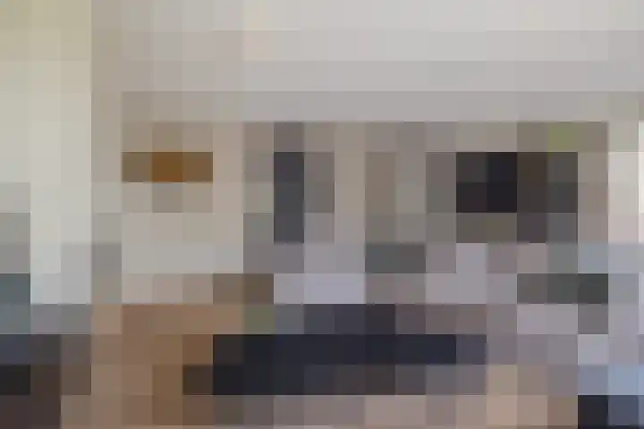 Zandhaai 1 A Eindhoven thumbnail 13