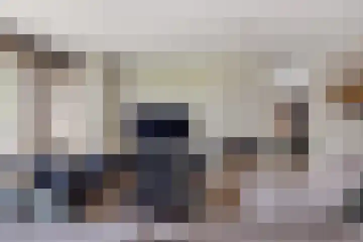 Zandhaai 1 A Eindhoven thumbnail 14