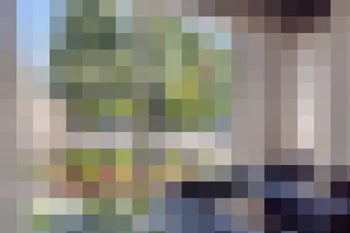 Zandhaai 1 A Eindhoven thumbnail 16