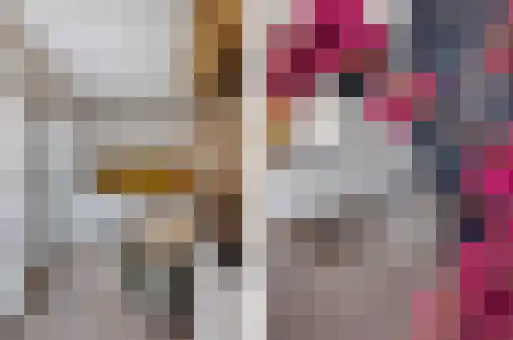Zandhaai 1 A Eindhoven thumbnail 18