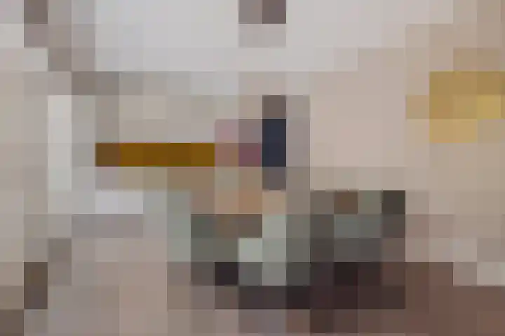 Zandhaai 1 A Eindhoven thumbnail 19