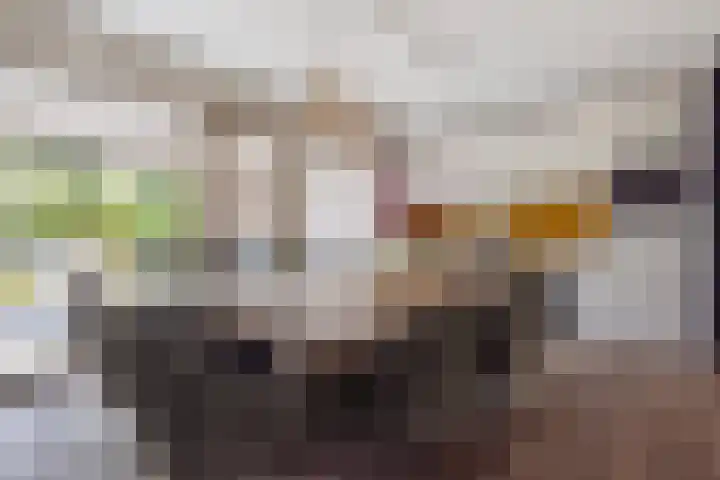 Zandhaai 1 A Eindhoven thumbnail 20