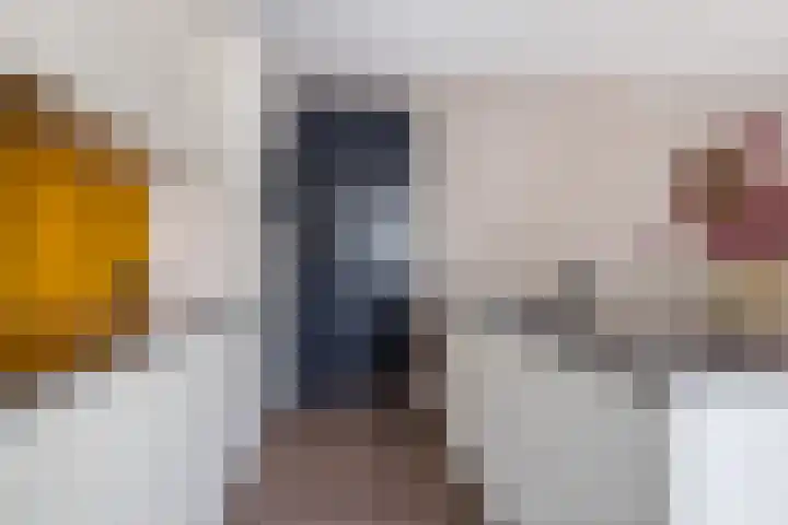 Zandhaai 1 A Eindhoven thumbnail 22