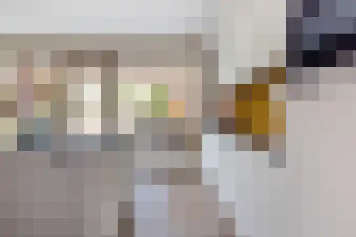 Zandhaai 1 A Eindhoven thumbnail 24
