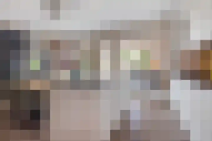 Zandhaai 1 A Eindhoven thumbnail 25