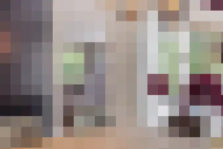 Zandhaai 1 A Eindhoven thumbnail 26