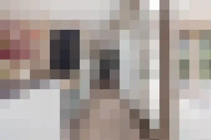 Zandhaai 1 A Eindhoven thumbnail 27