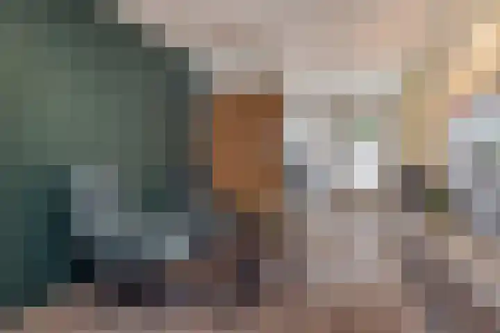 Zandhaai 1 A Eindhoven thumbnail 29