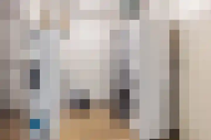 Zandhaai 1 A Eindhoven thumbnail 30