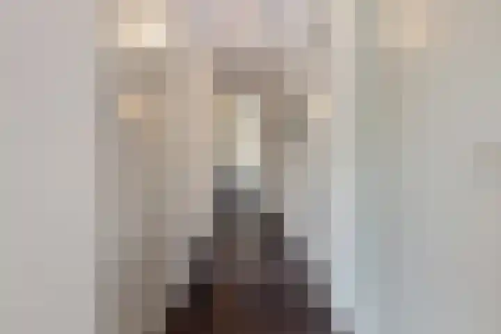 Zandhaai 1 A Eindhoven thumbnail 32