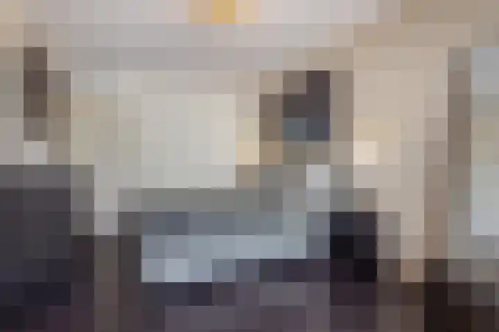 Zandhaai 1 A Eindhoven thumbnail 34