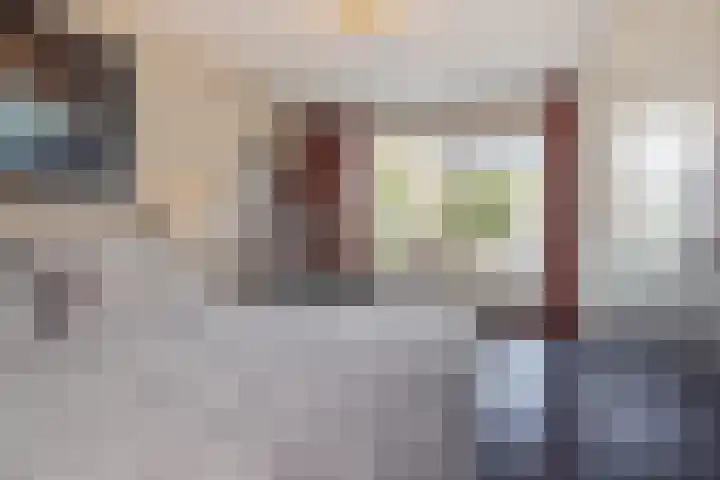 Zandhaai 1 A Eindhoven thumbnail 35