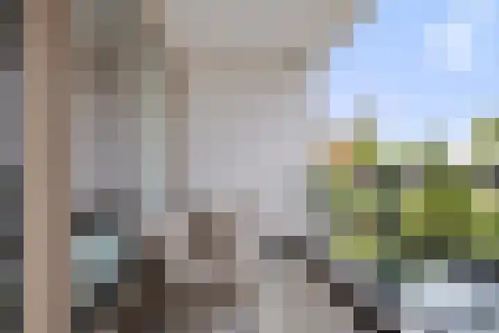 Zandhaai 1 A Eindhoven thumbnail 36