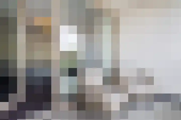 Zandhaai 1 A Eindhoven thumbnail 37