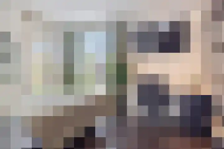 Zandhaai 1 A Eindhoven thumbnail 38