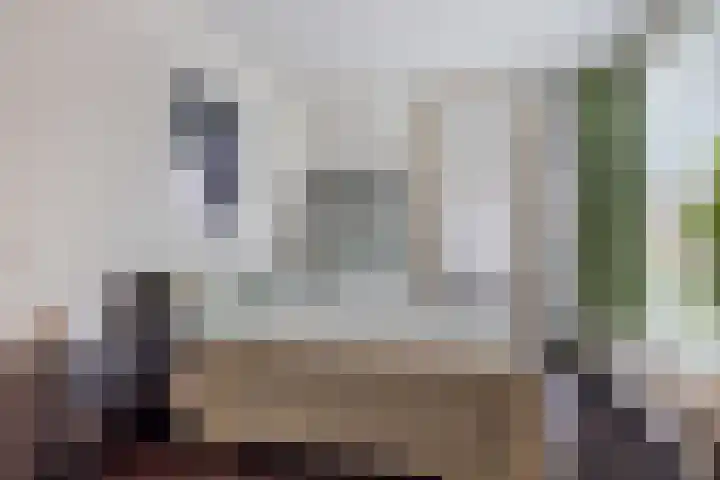 Zandhaai 1 A Eindhoven thumbnail 39