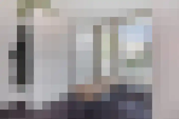 Zandhaai 1 A Eindhoven thumbnail 40