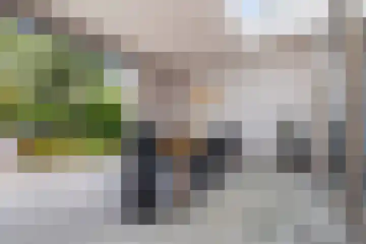 Zandhaai 1 A Eindhoven thumbnail 46