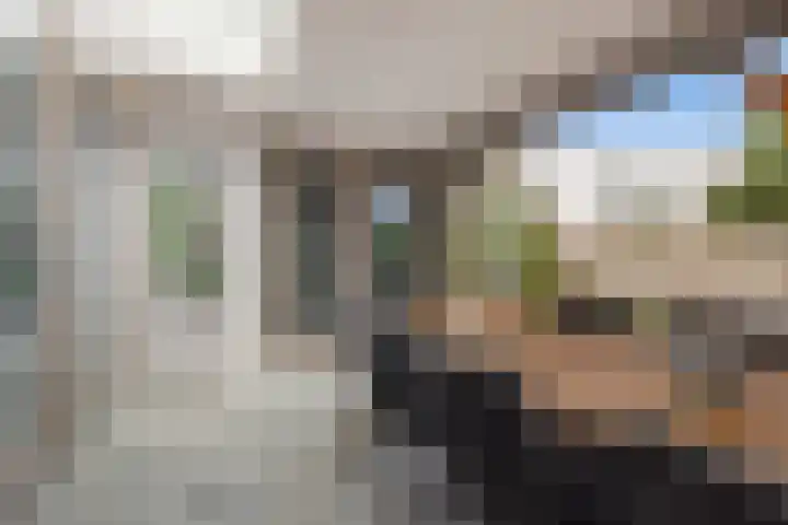 Zandhaai 1 A Eindhoven thumbnail 47