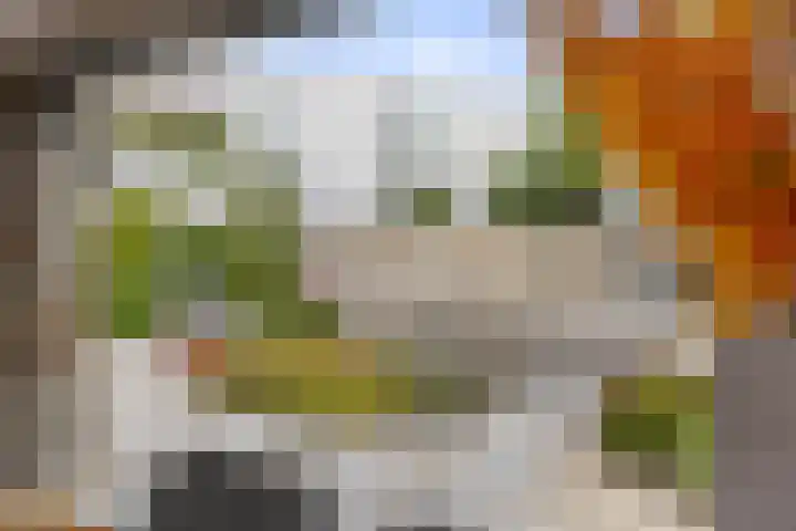 Zandhaai 1 A Eindhoven thumbnail 48