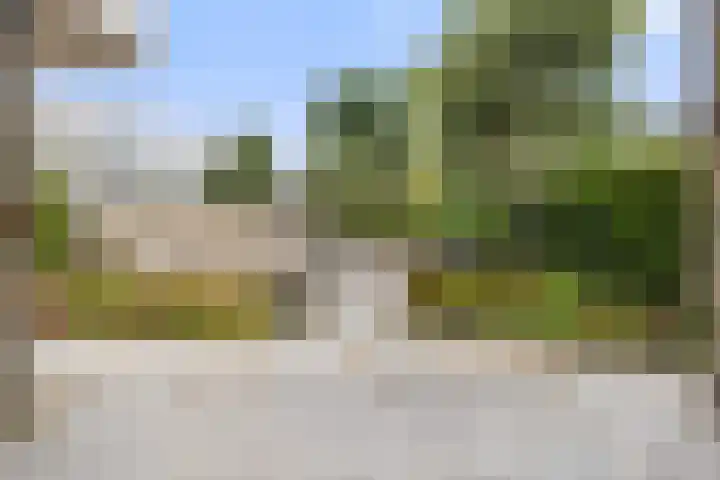 Zandhaai 1 A Eindhoven thumbnail 49