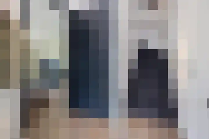 Zandhaai 1 A Eindhoven thumbnail 5