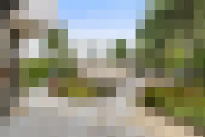 Zandhaai 1 A Eindhoven thumbnail 50