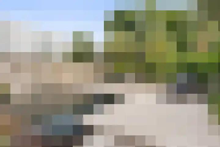 Zandhaai 1 A Eindhoven thumbnail 51