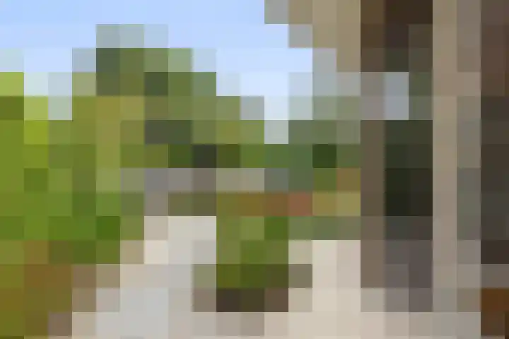 Zandhaai 1 A Eindhoven thumbnail 53