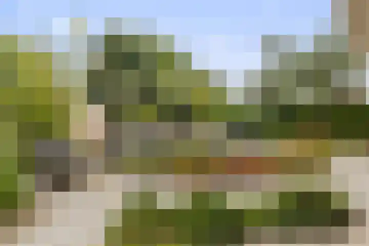 Zandhaai 1 A Eindhoven thumbnail 54