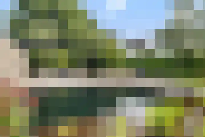 Zandhaai 1 A Eindhoven thumbnail 56