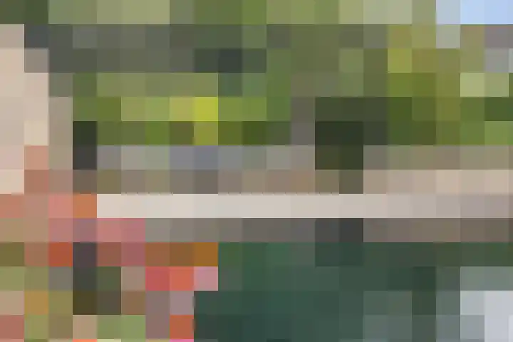 Zandhaai 1 A Eindhoven thumbnail 57