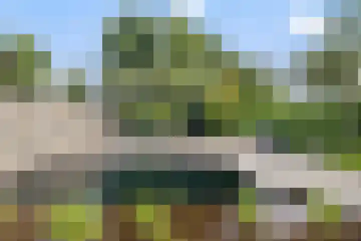 Zandhaai 1 A Eindhoven thumbnail 59