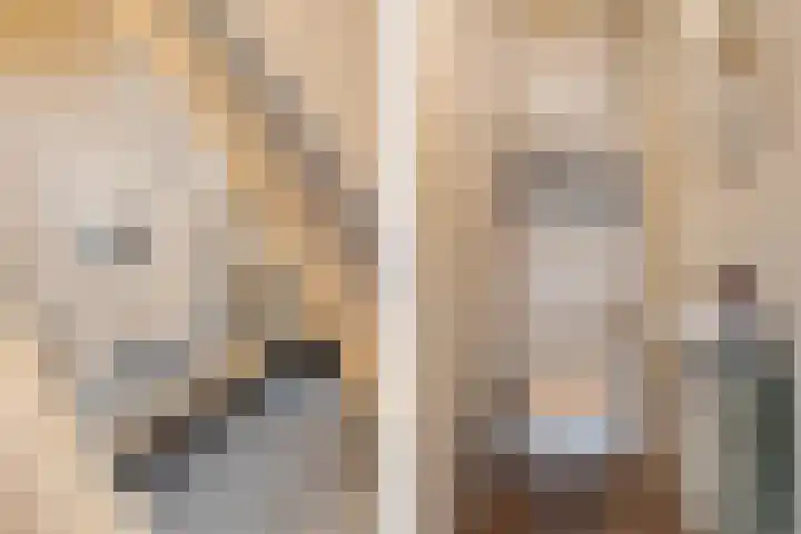 Zandhaai 1 A Eindhoven thumbnail 6