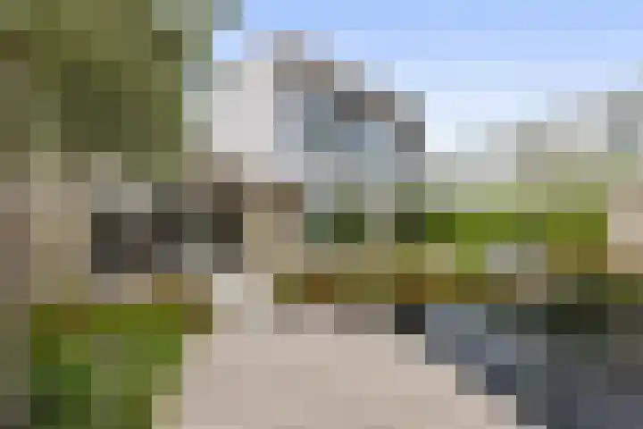 Zandhaai 1 A Eindhoven thumbnail 60
